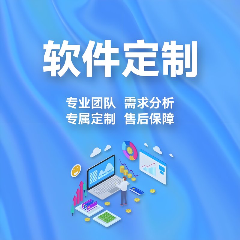 定制软件开发