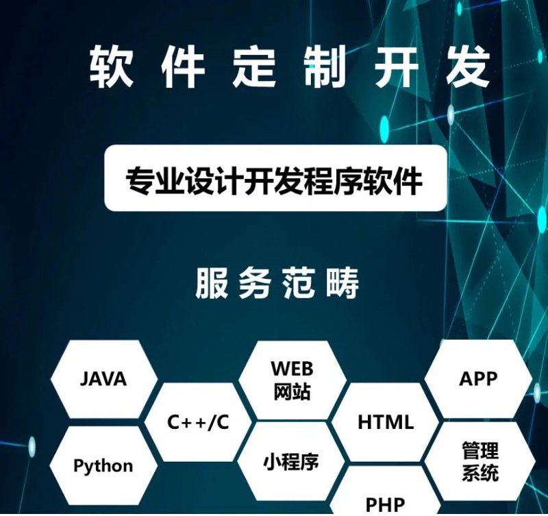 软件开发行业：创新与挑战并存